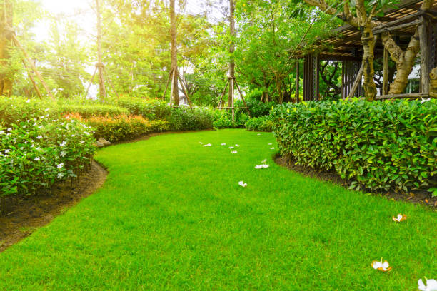 Projekt 1 Gartenpflege Hagen